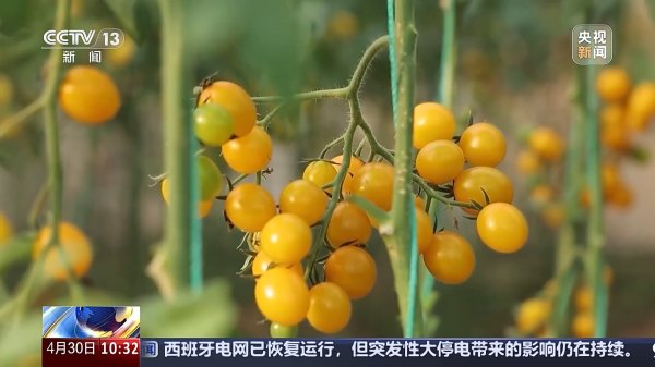 金多多配资 供应充足&#32;品种丰富&#32;价格稳定&#32;五一假期“菜篮子”供应有保障